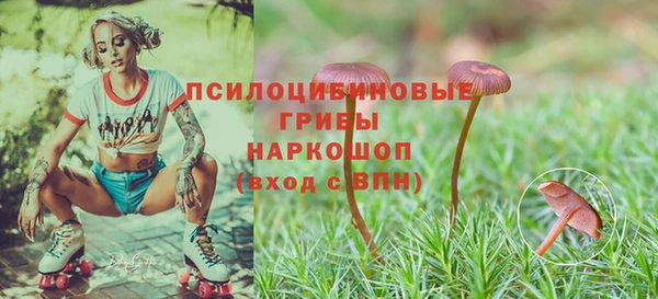 первитин Сафоново