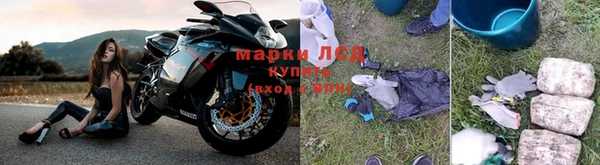 гидропоника Белокуриха